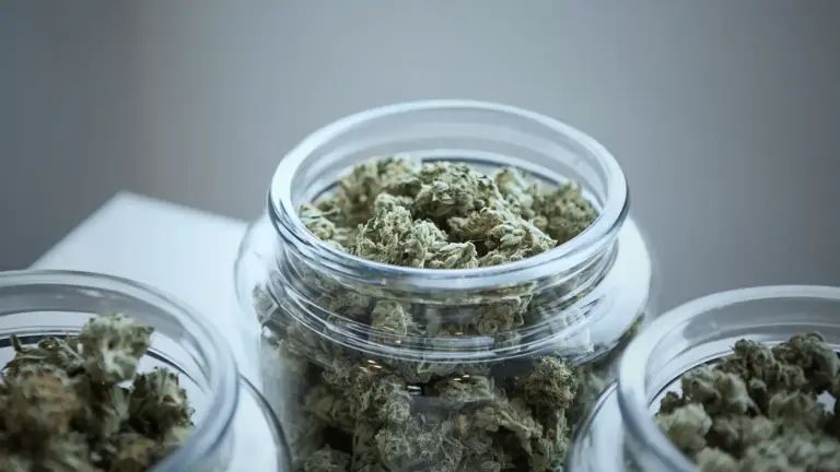 Thrive Dispensary Blog - How to Store Weed: Keep That Fire Fresh and Safe